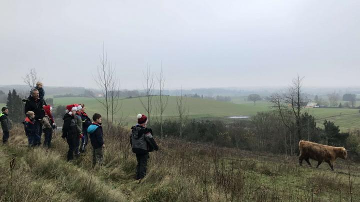 Naturbillede af Mikroerne på juleturen 2019